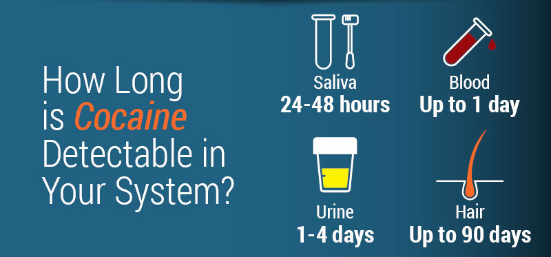 How Long Is Cocaine Detectable in Plasma