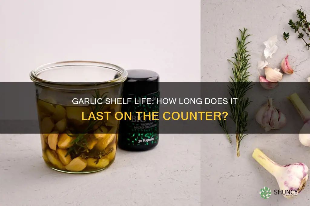 How Long Is Jarlic Good For