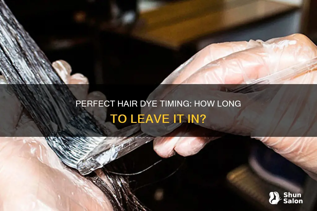 How Long to Keep Hair Dye In