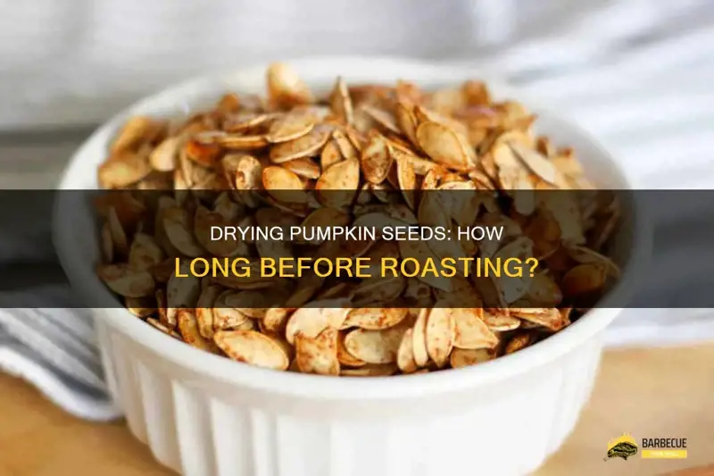 How Long to Dry Pumpkin Seeds Before Roasting