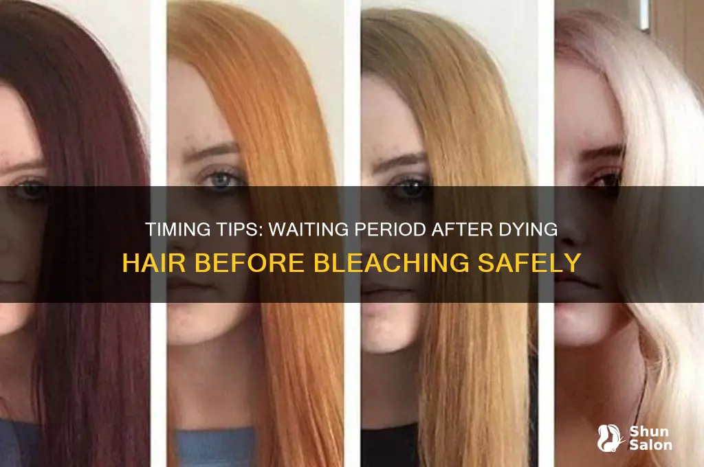 Can I Bleach My Hair After Dying It