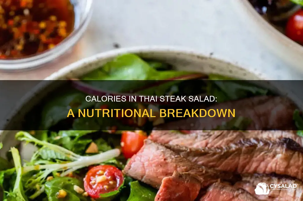 How Many Calories in Steak and Salad