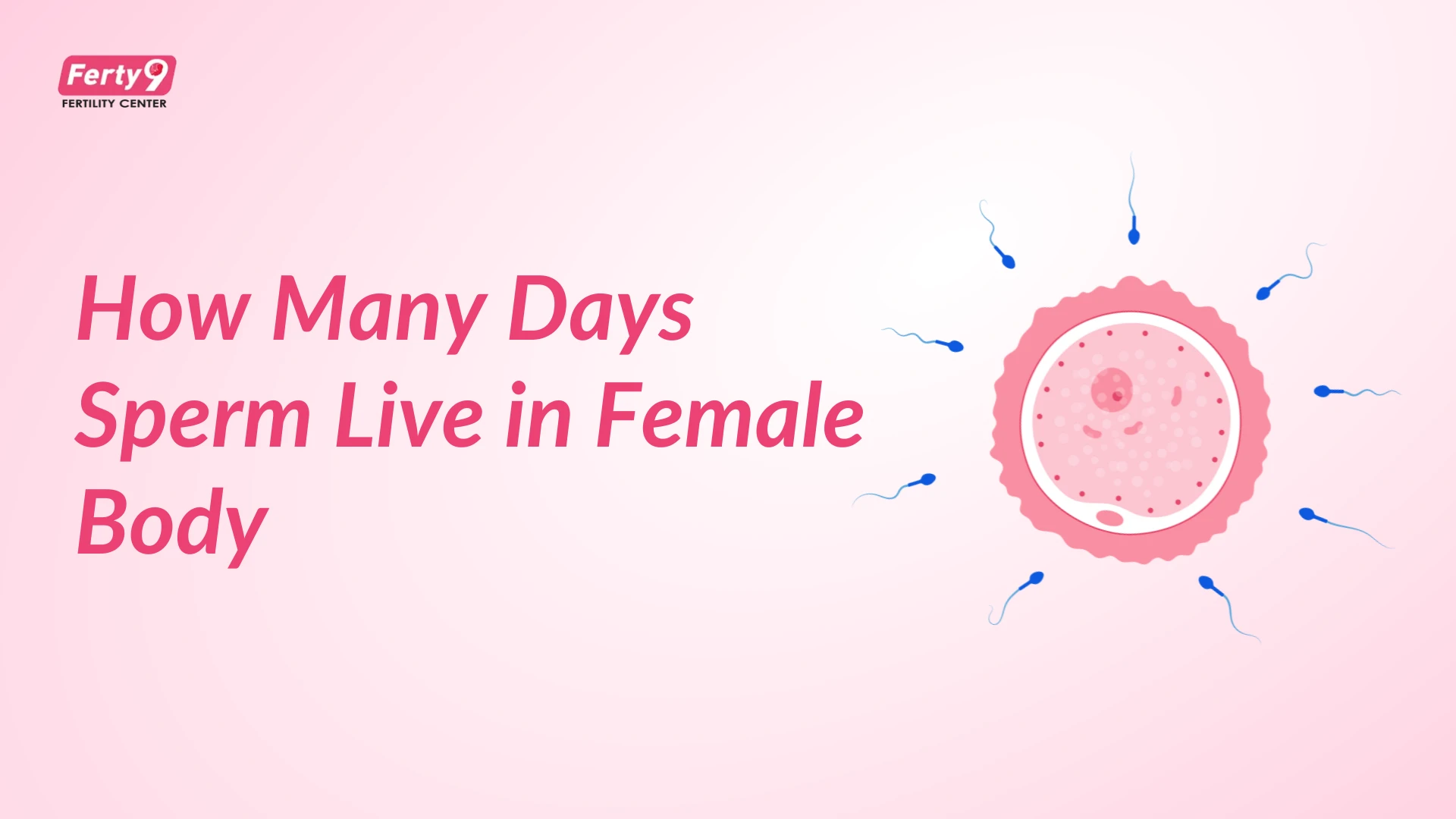 How Many Days Can Sperm Live in the Body