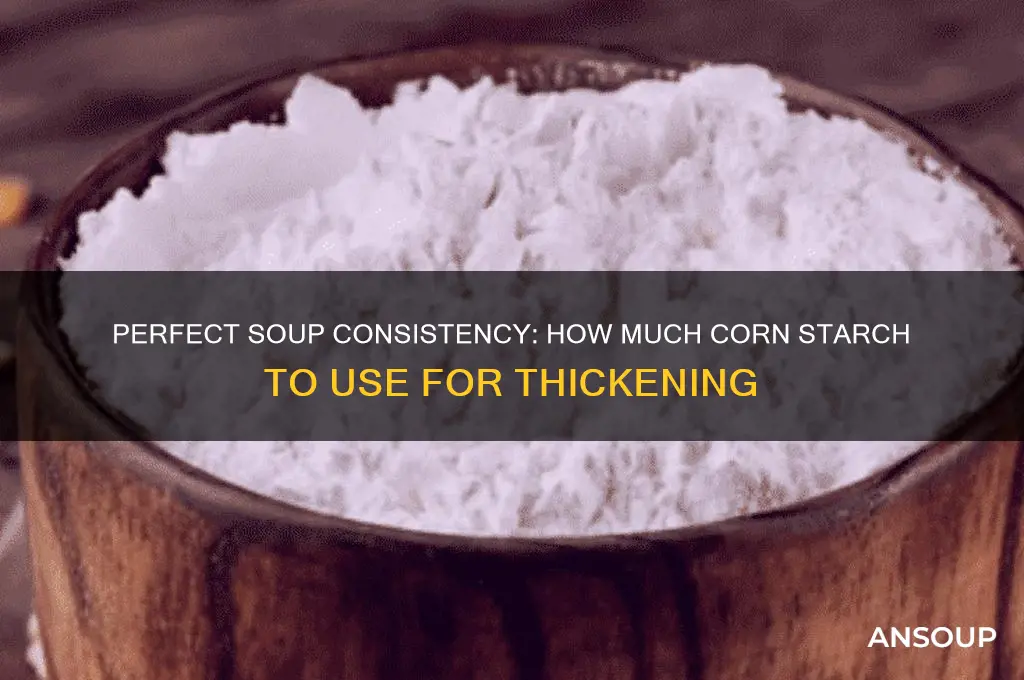 How Much Corn Starch to Thicken Soup
