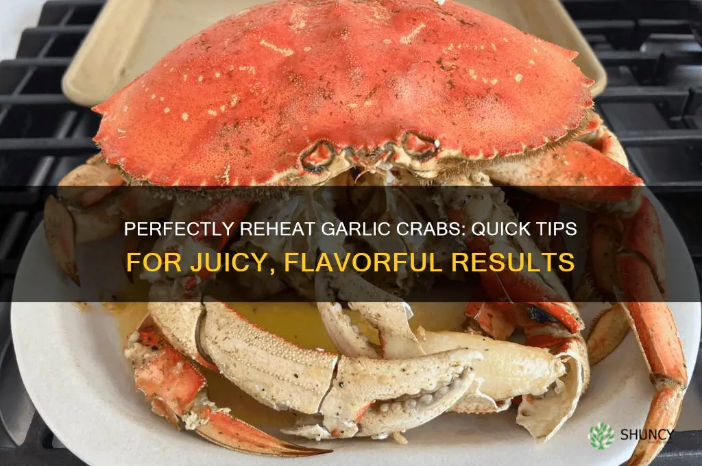 Best Way to Reheat Crabs