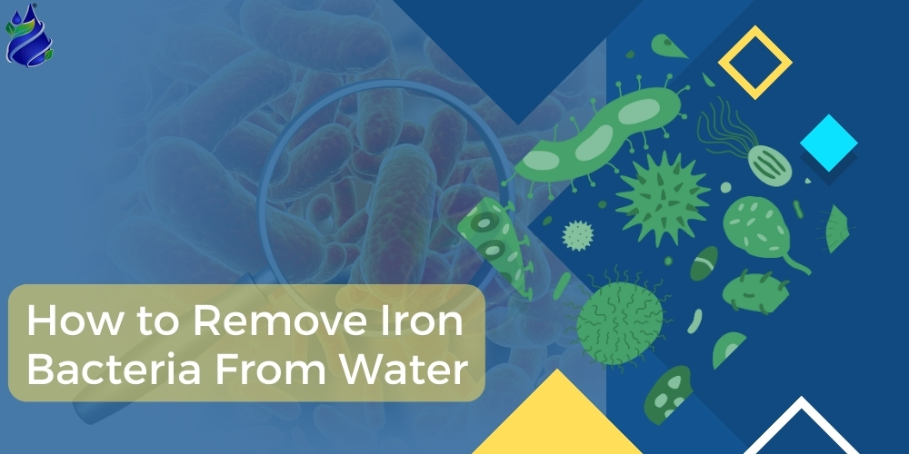 How to Remove Iron Bacteria from Well Water