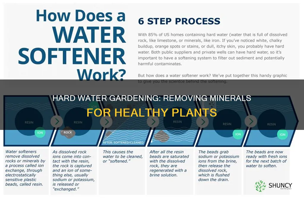 How to Remove Minerals from Water