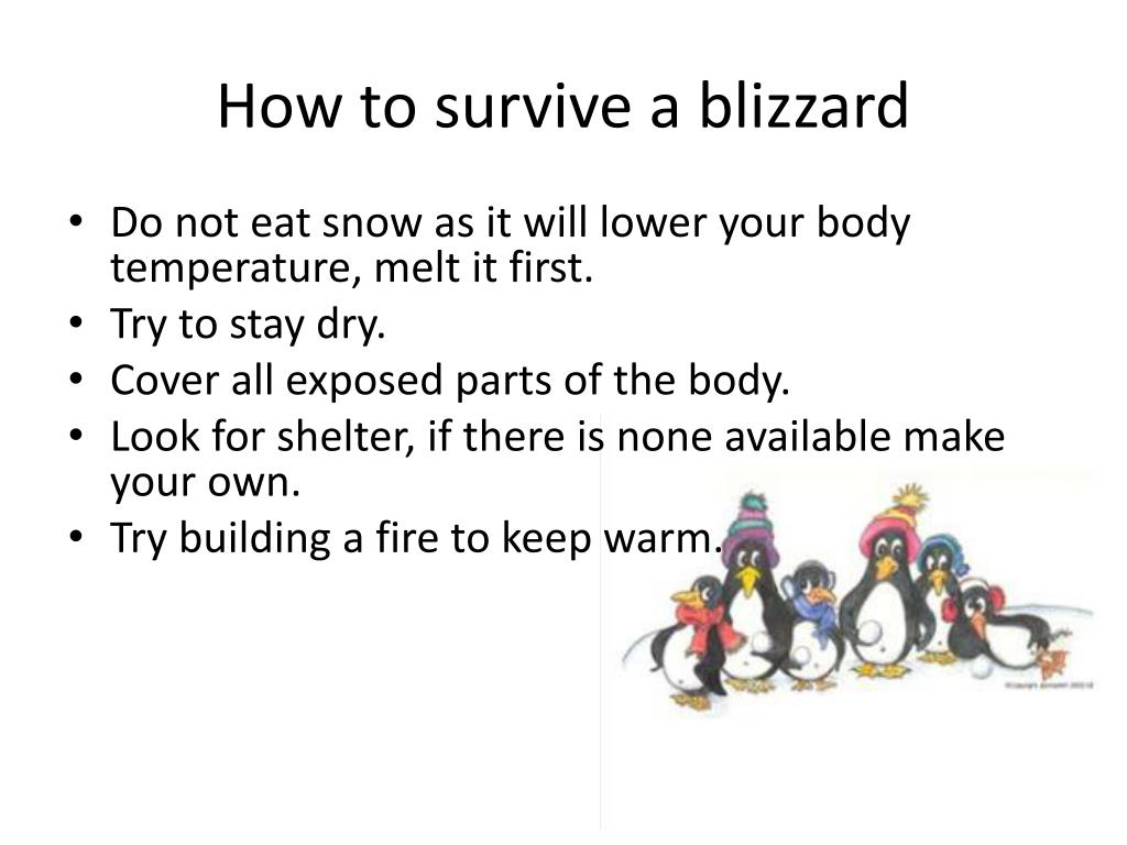 How to Survive Blizzard