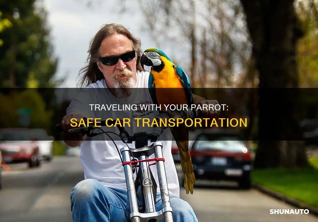 Parrot in Transport Leaving a River