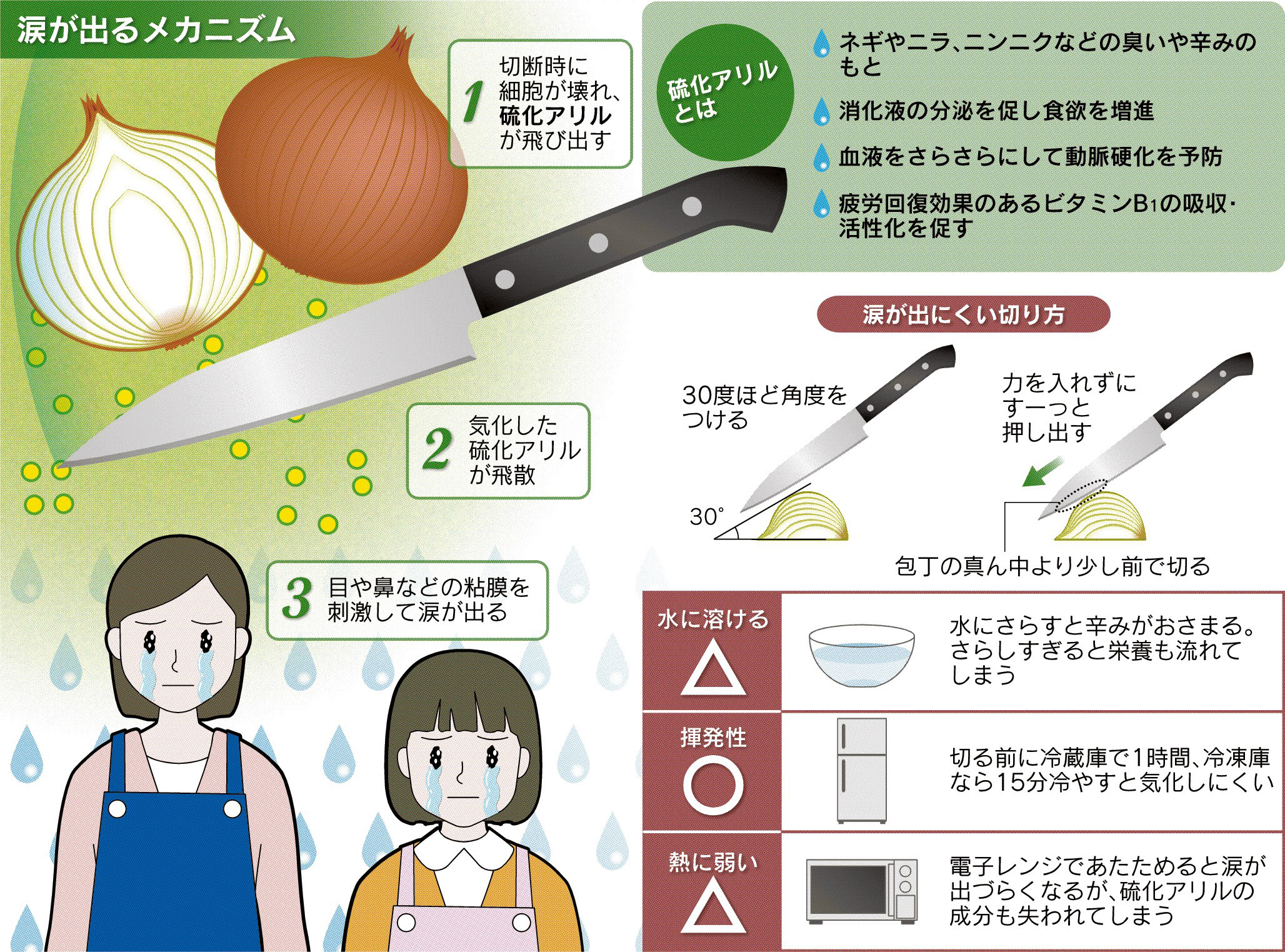 【2026年最新】玉ねぎで涙が出ない方法8選！科学的根拠と裏ワザを検証