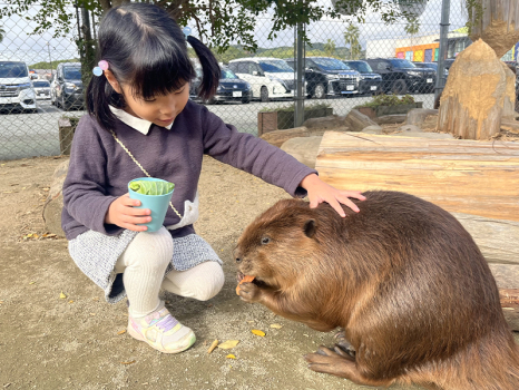 【徹底調査】 久山 ふれあい 動物園 最新情報まとめ 2026 #985