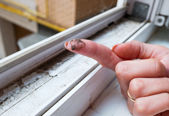 What Happens If I Touch Mold
