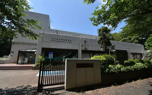 市川駅は住みやすい？治安の噂と家賃相場、2026年の実態を徹底検証