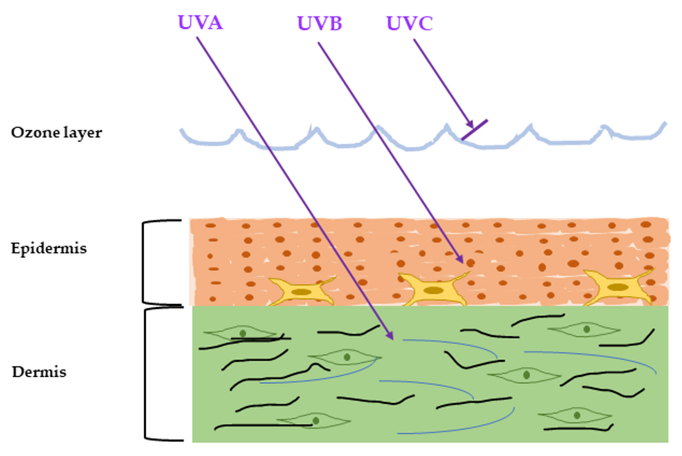 Does Water Block Uv Rays