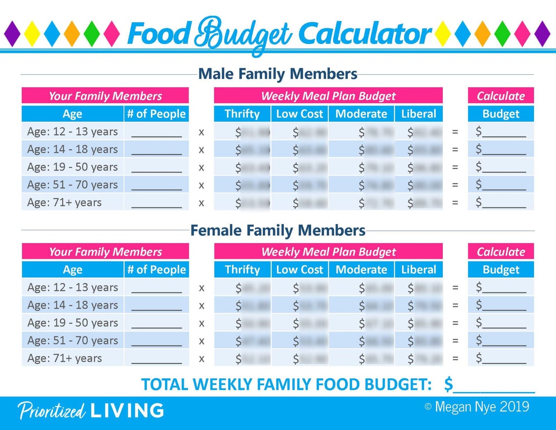 Family of 5 Grocery Budget