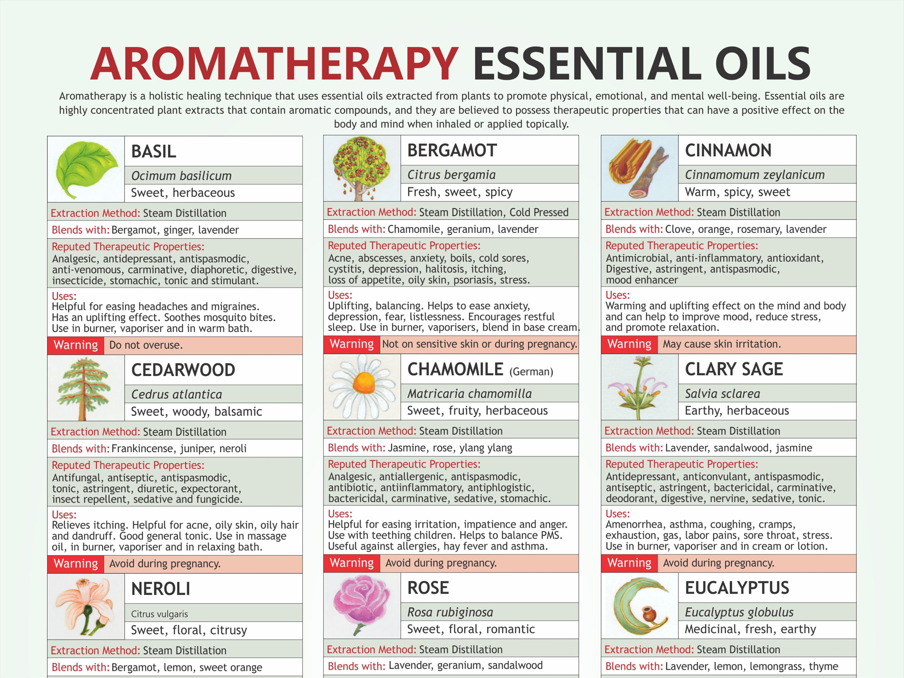 Effects of Aromatherapy Oils
