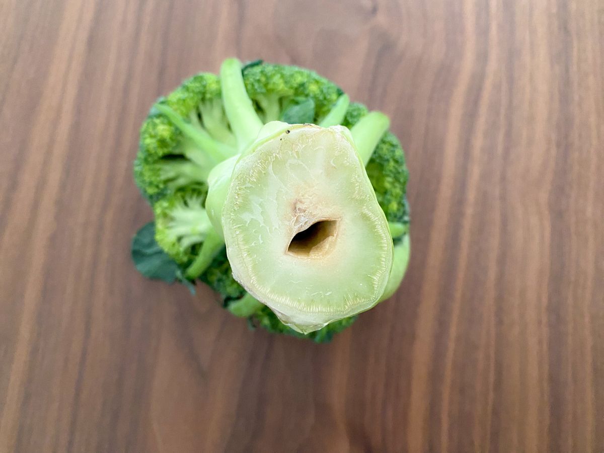 ブロッコリーの茎の穴は虫食い？空洞症の正体と安全な見分け方