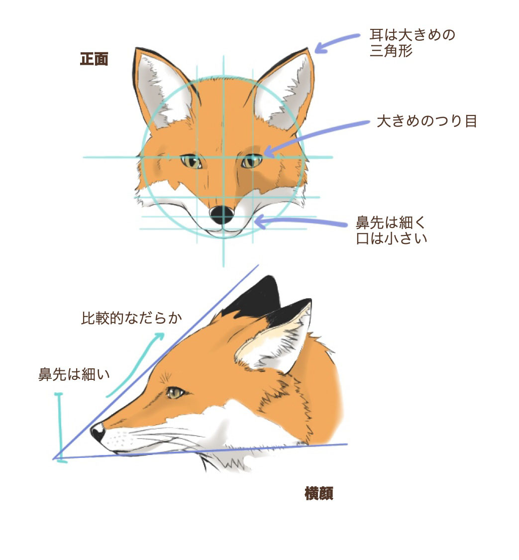 ララシャンス ベルアミー費用の裏側とリアル口コミ！水と光の真実