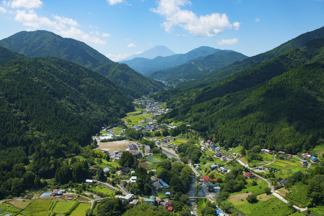 【2026年最新】山梨県道志村がキャンプの聖地と呼ばれる真の理由