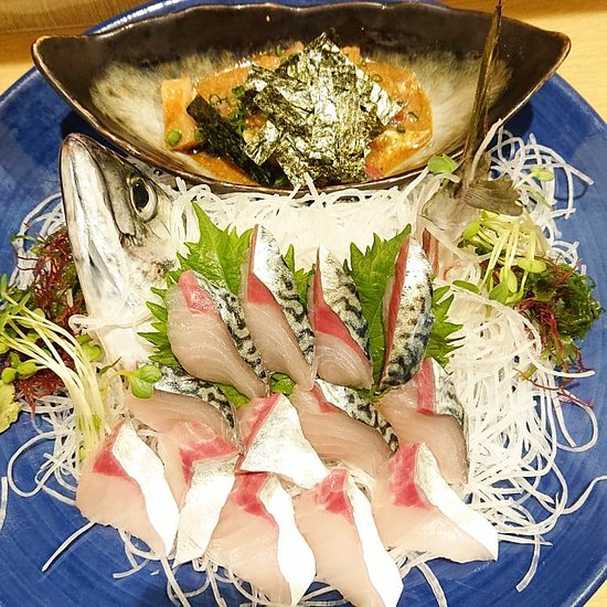 第8八千代丸の航海日誌が暴く闇！沈黙破る調査官と緊迫の全真相