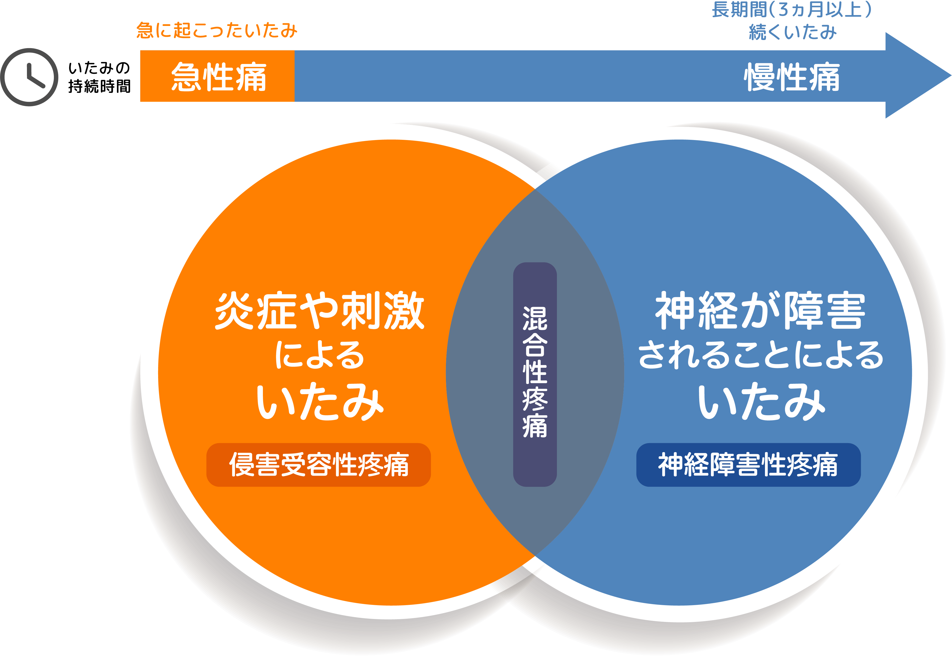 湿布が効かない激痛の正体｜神経障害性疼痛の原因と2026年最新治療法