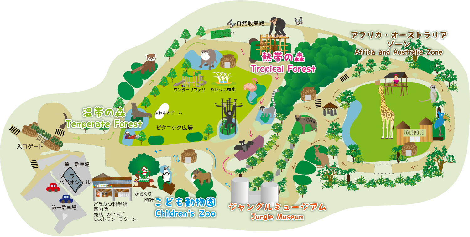 なぜ高知のいち動物公園が日本一？ハシビロコウと展示の真価を徹底解剖