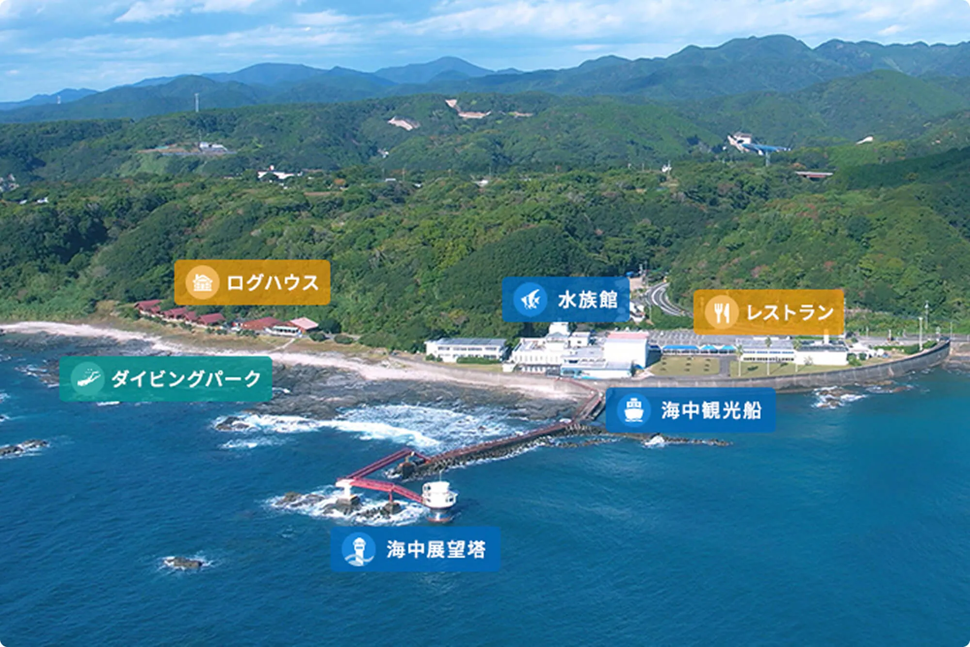 串本海中公園の閉館理由と現在｜ウミガメの行方と跡地再生の全貌
