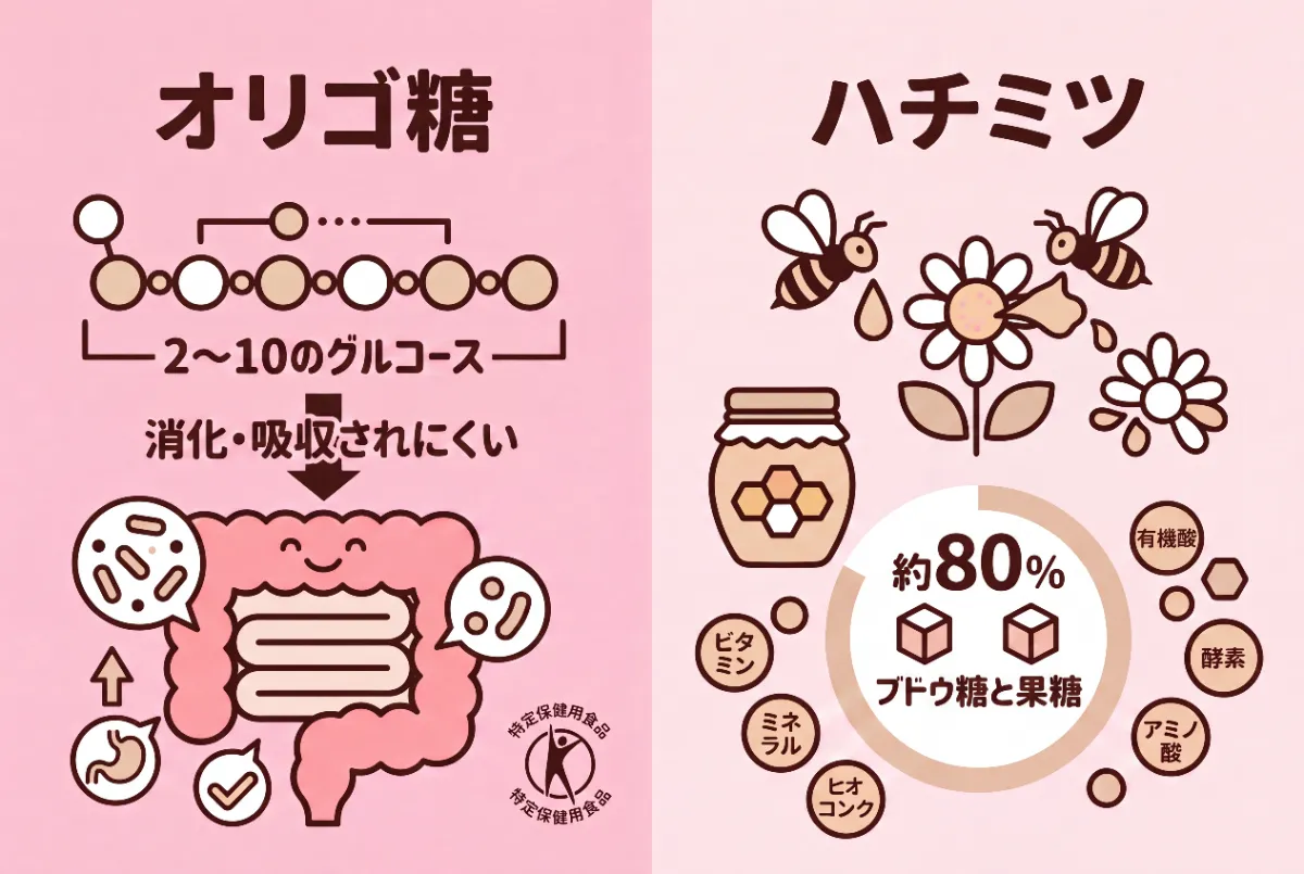 オリゴ糖と蜂蜜の違いを徹底比較！健康・腸活・Gi値で選ぶ正解