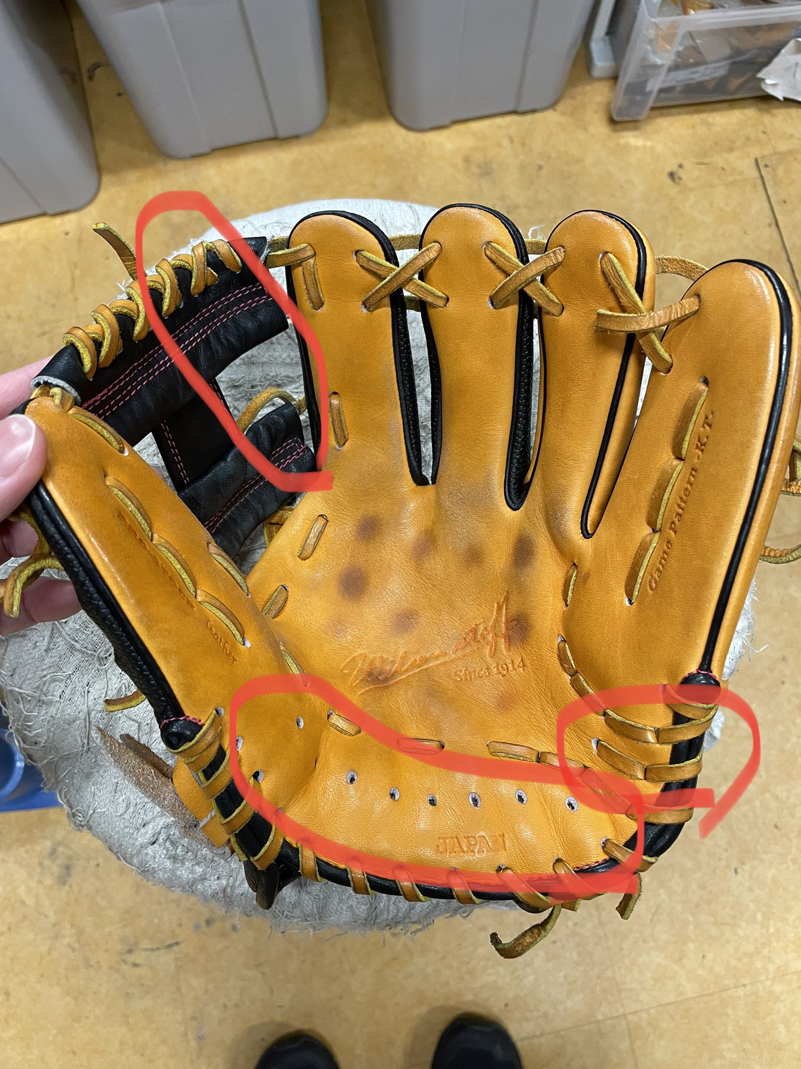 新品グローブを早く柔らかくする方法！プロ直伝の型付け術とNg手入れ