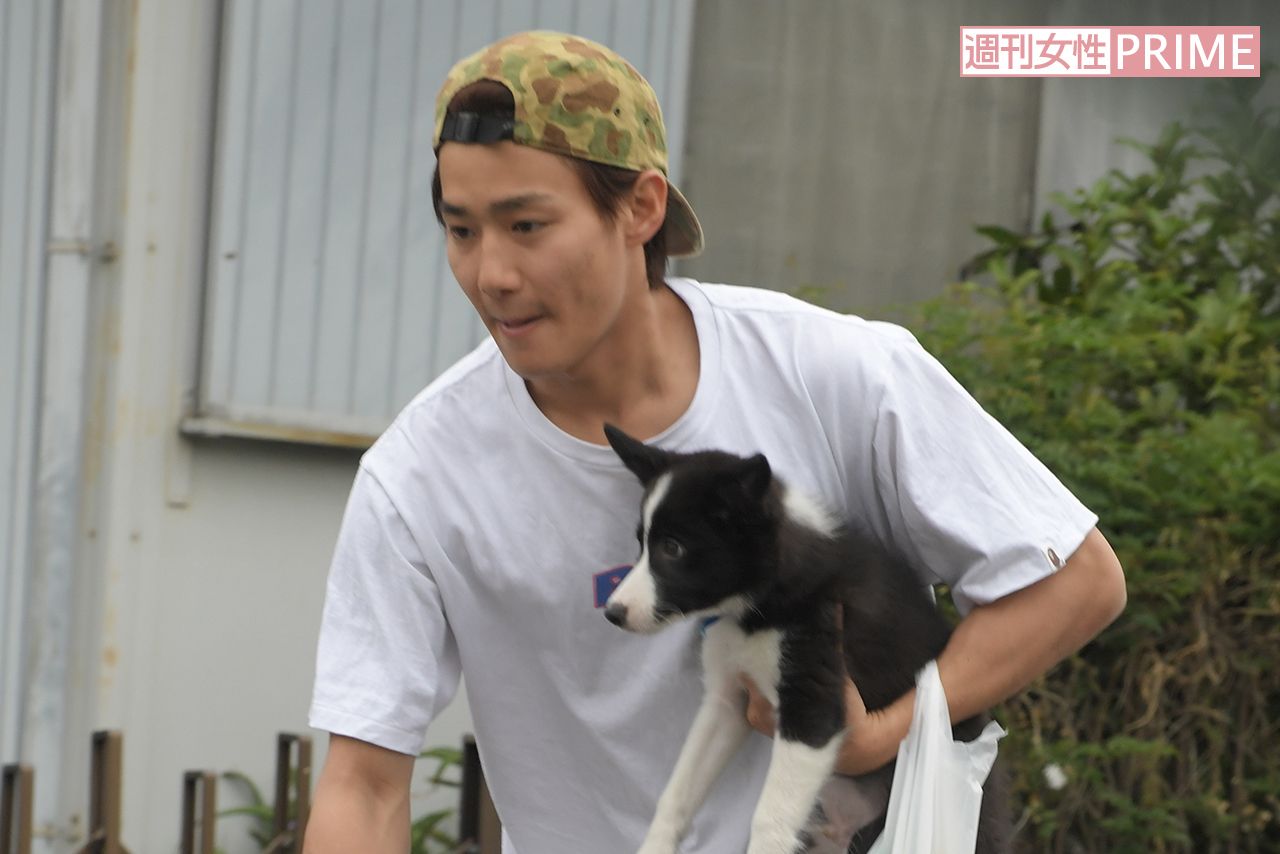 野村周平の愛犬スヌープとは？ピットブルを選ぶ理由としつけの真相