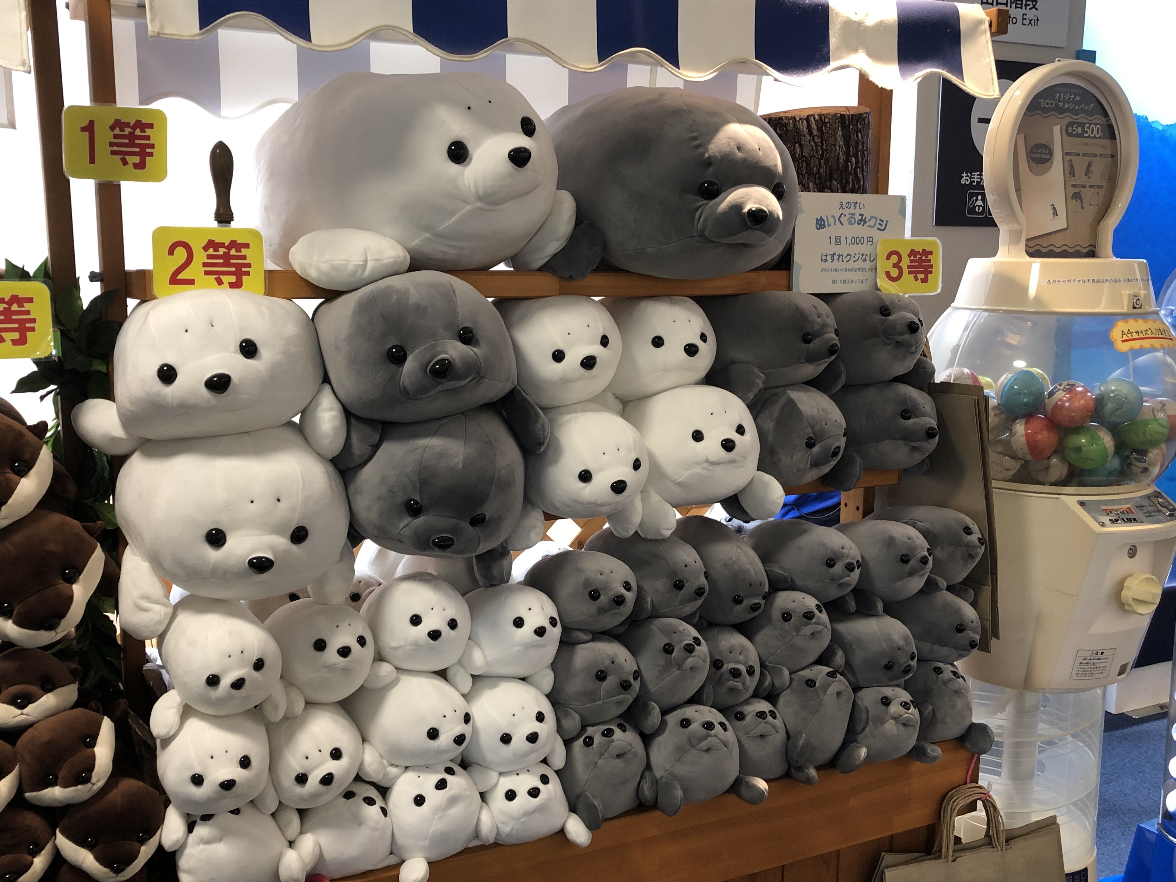 【2026最新】えのすい限定の絶品＆話題作がズラリ！地元ライターが厳選する「絶対買うべき」新江ノ島水族館のお土産完全ガイド