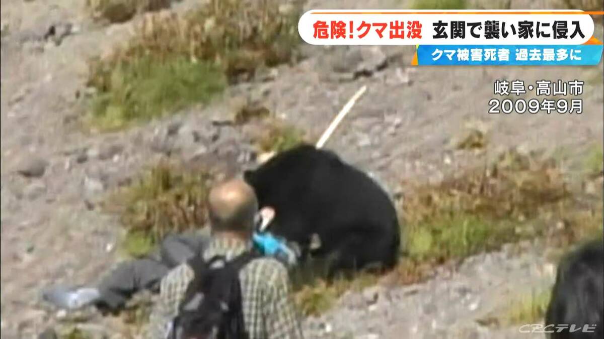 ツキノワグマ事件の真相と現場記録｜鹿角の惨劇から学ぶ撃退法と対策