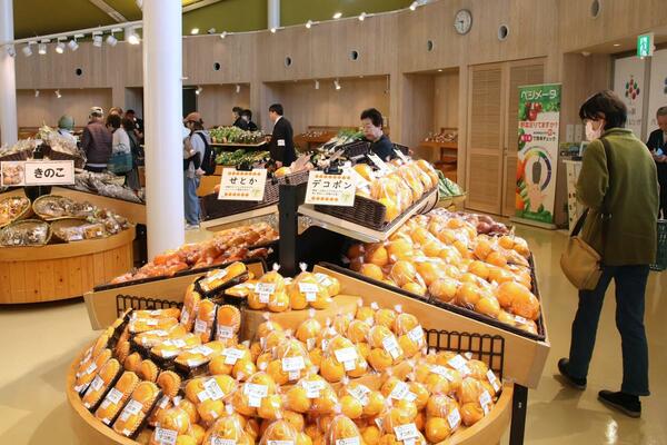 2026年、地方創生の最適解がここに。進化を遂げた「道 の 駅 パティオ にいがた」が示す日本の未来