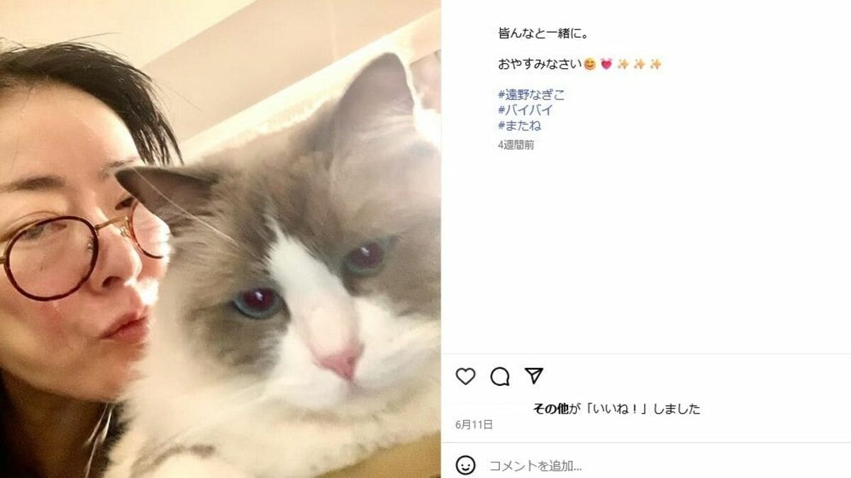 遠野なぎこが愛猫に託す命の灯火！激変した私生活と知られざる絆
