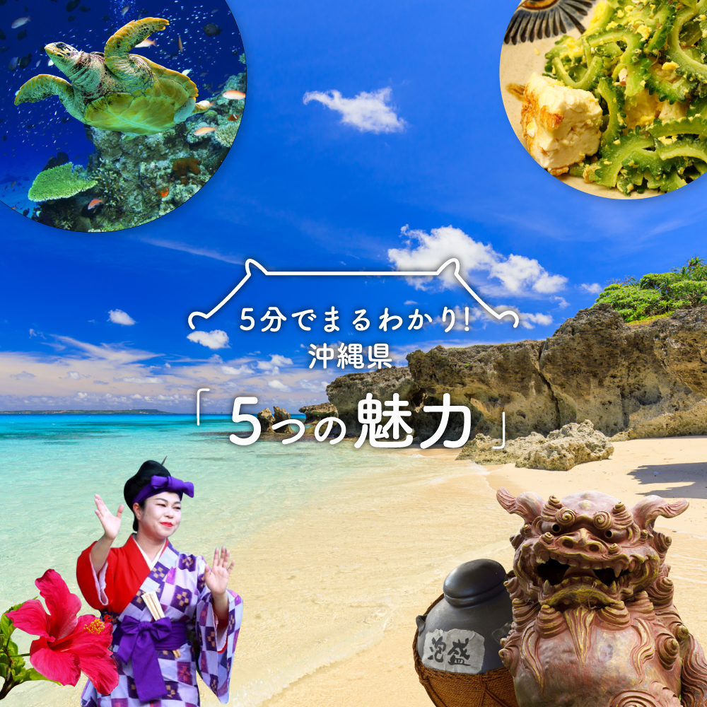 沖縄県の魅力はなぜ人を虜にする？2026年最新穴場と移住のリアル