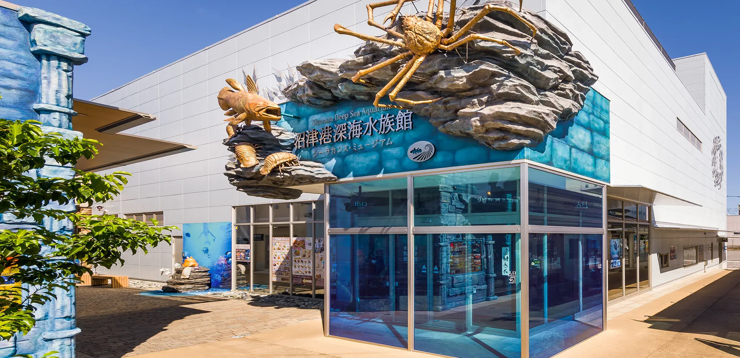 沼津深海水族館の魅力と混雑回避術！見どころ・料金・評判を徹底検証
