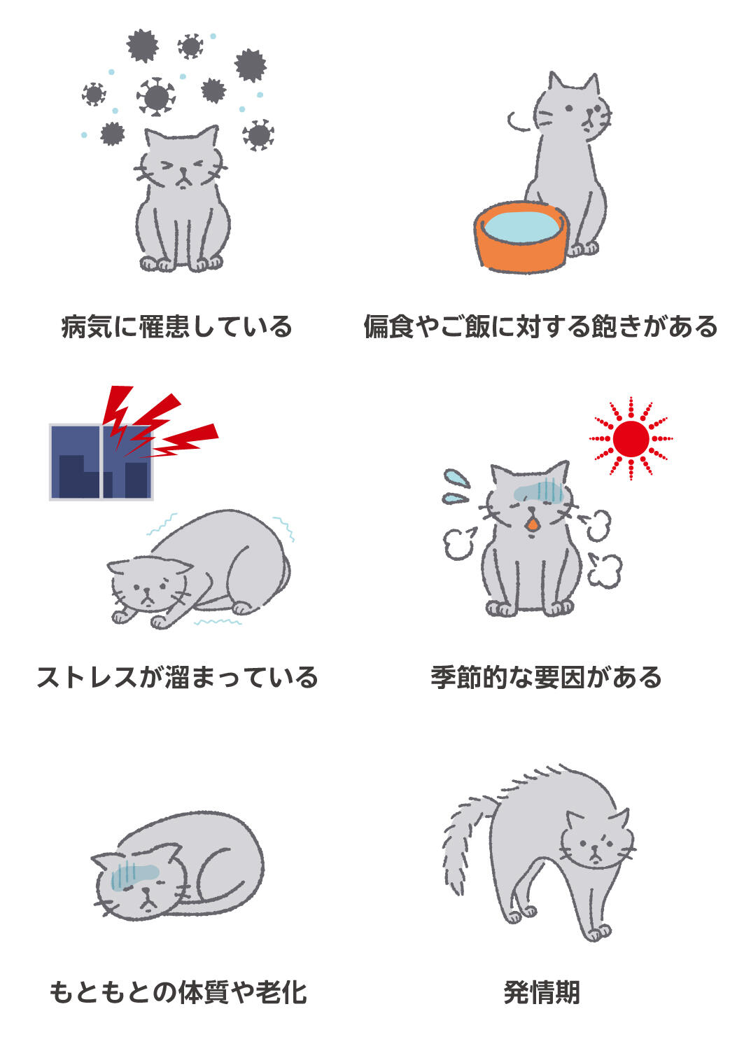 猫がご飯を食べない原因と病気サイン｜危険なタイムリミットと対処法