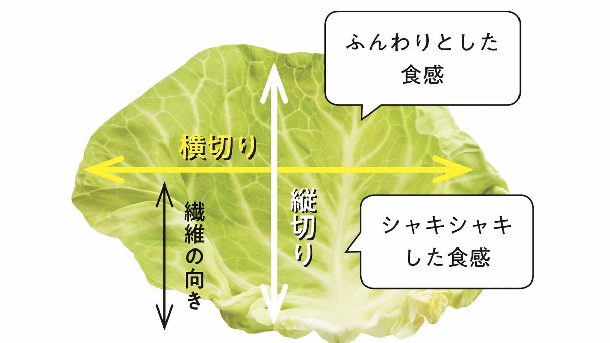 キャベツの栄養を捨てるな！芯と外葉の驚異的な効果と損しない食べ方