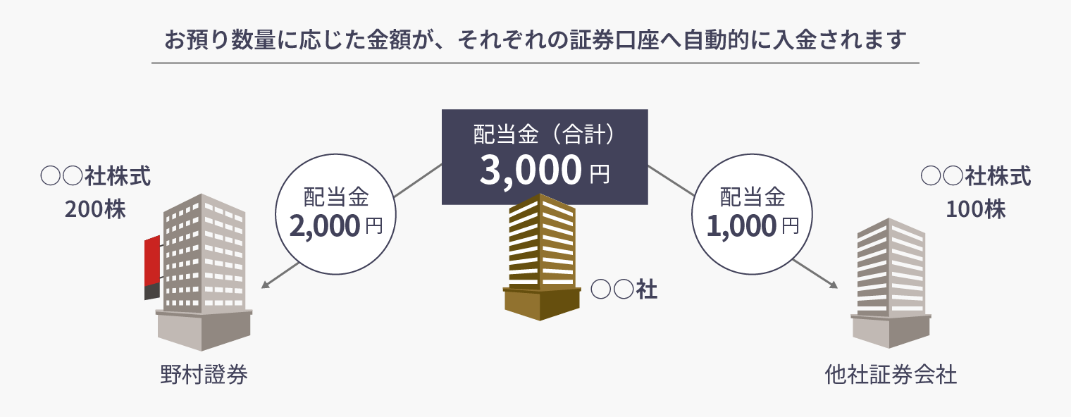株式数比例配分方式を選ばないとNisa配当が課税される？知らないと損する設定の全手順