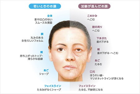 デバイス疲労と「たるみ顔」を撃退する、2026年最新の首元アプローチとは？