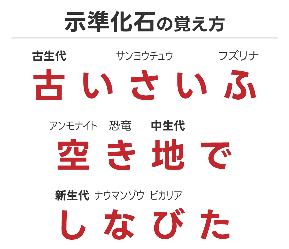 示準化石の覚え方決定版！示相化石との違いや時代別最強ゴロ合わせ