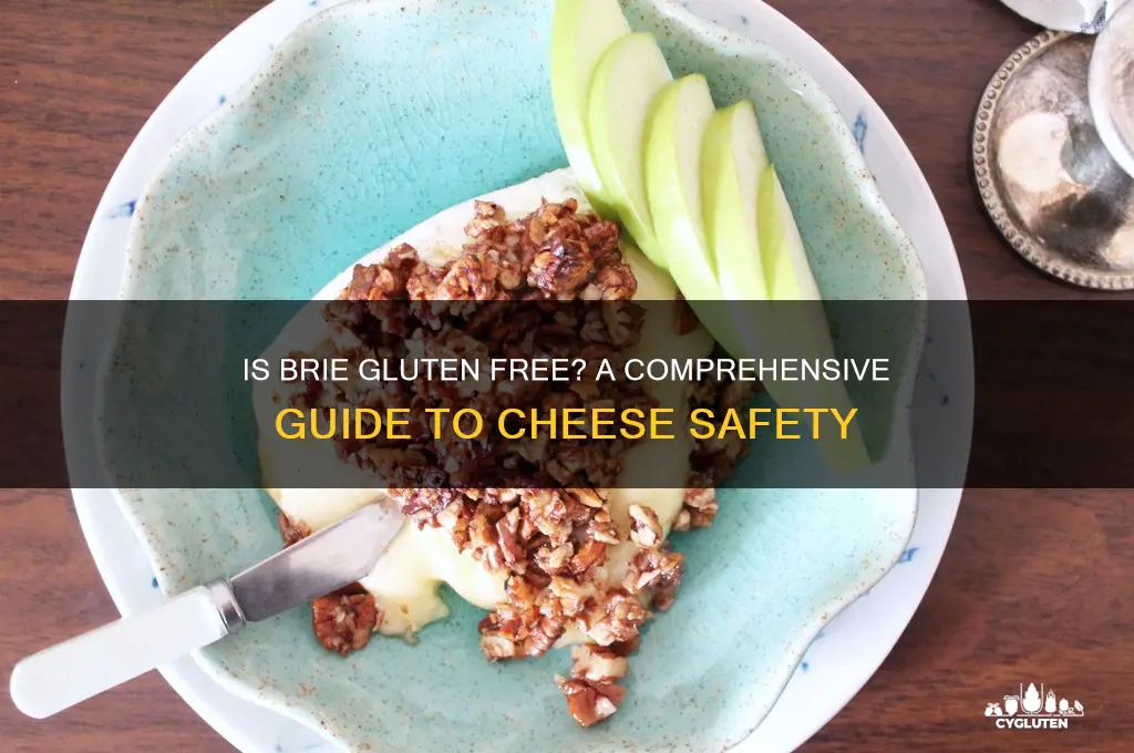 Does Brie Contain Gluten