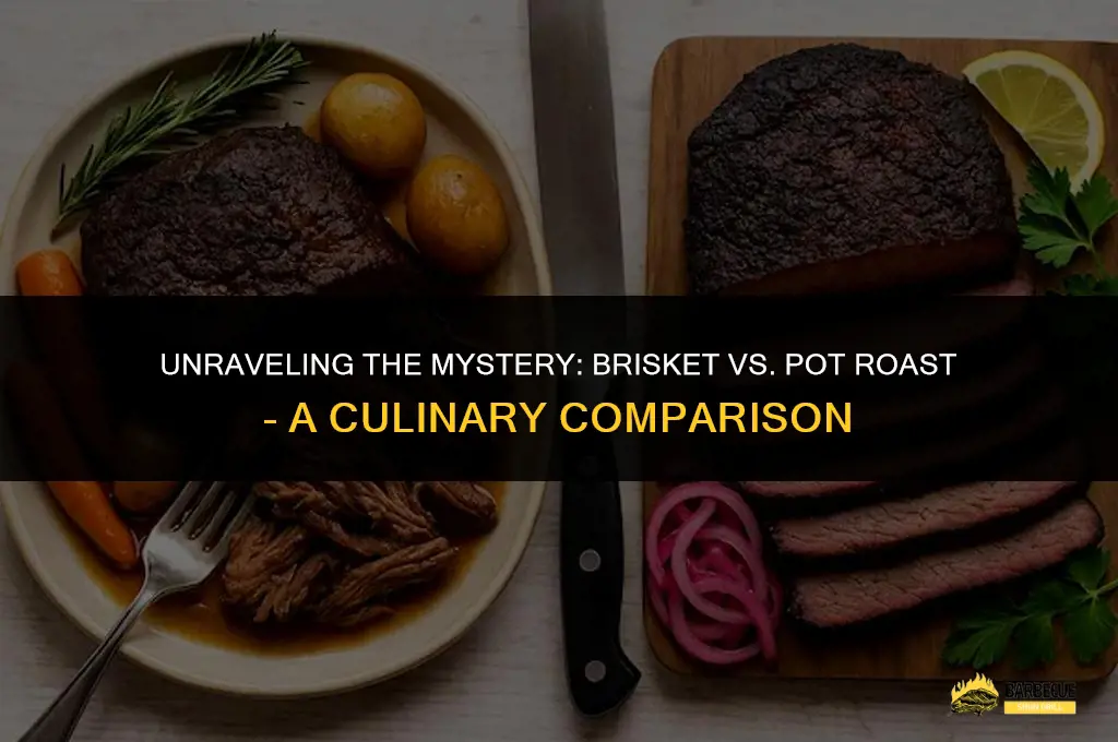 Pot Roast vs Brisket