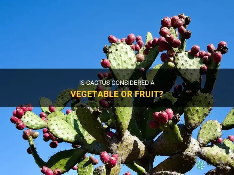 Is a Cactus a Fruit or a Vegetable
