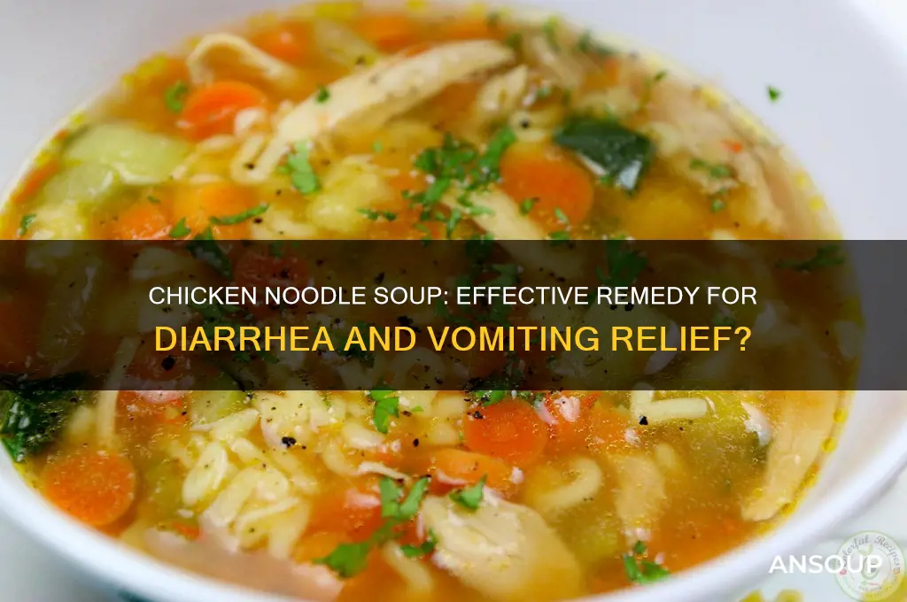 Chicken Noodle Soup and Diarrhea