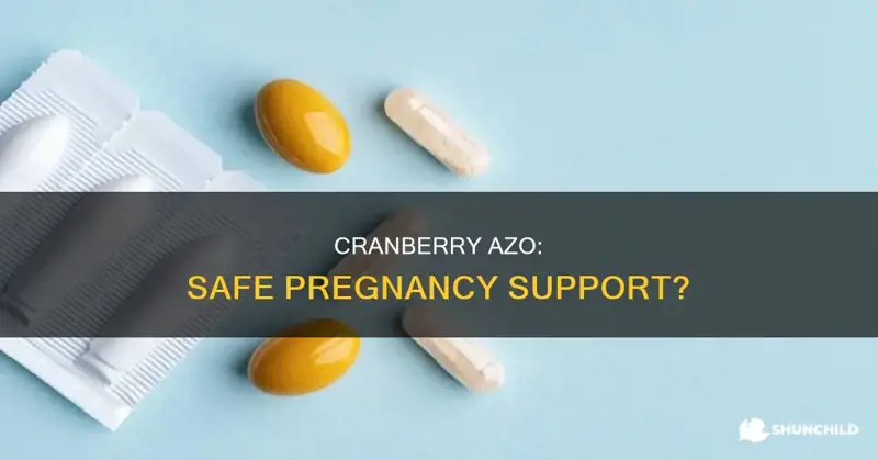 Are Cranberry Tablets Safe During Pregnancy