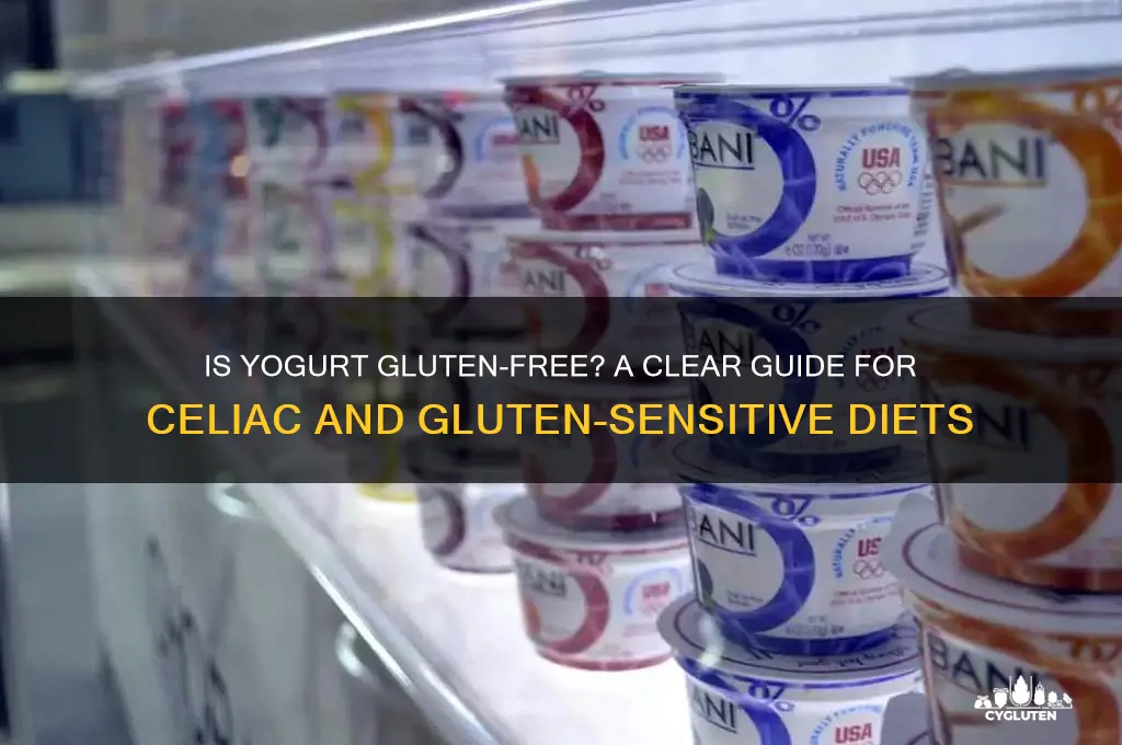 Is There Gluten in Yogurt