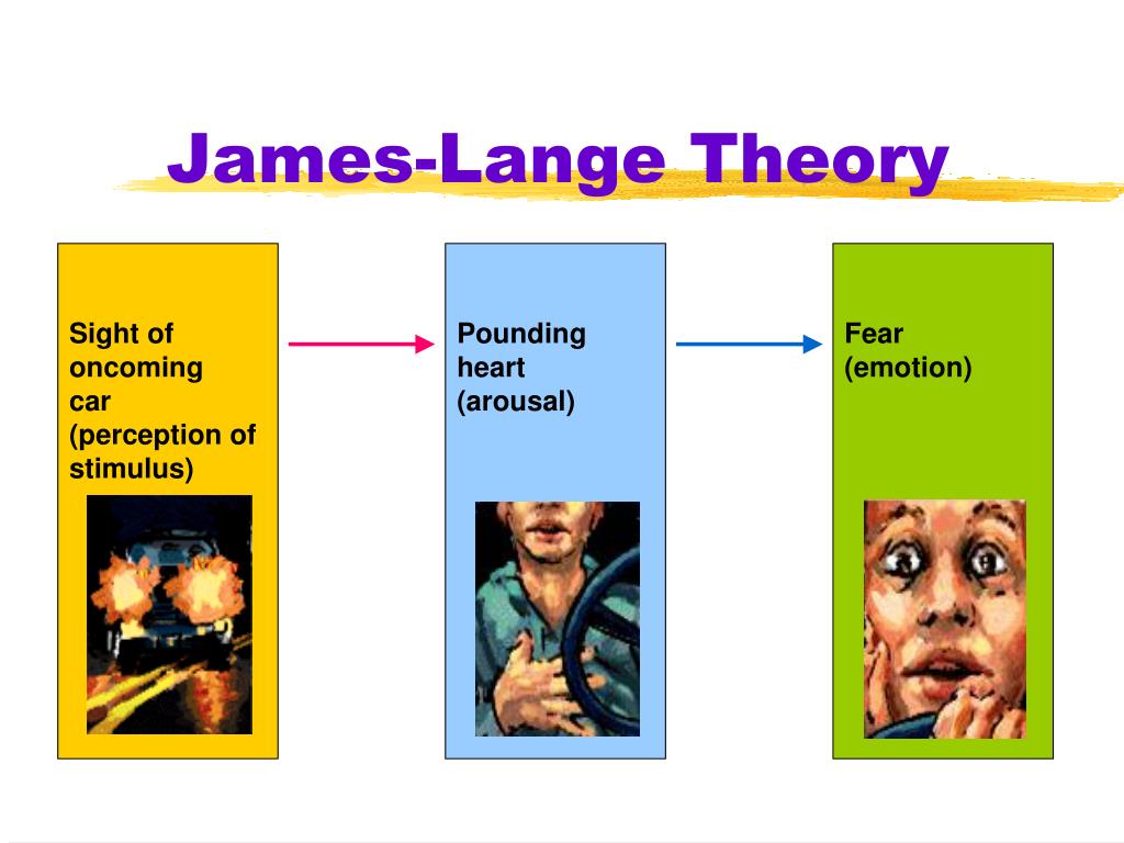 James Lange Theory of Emotion Psychology