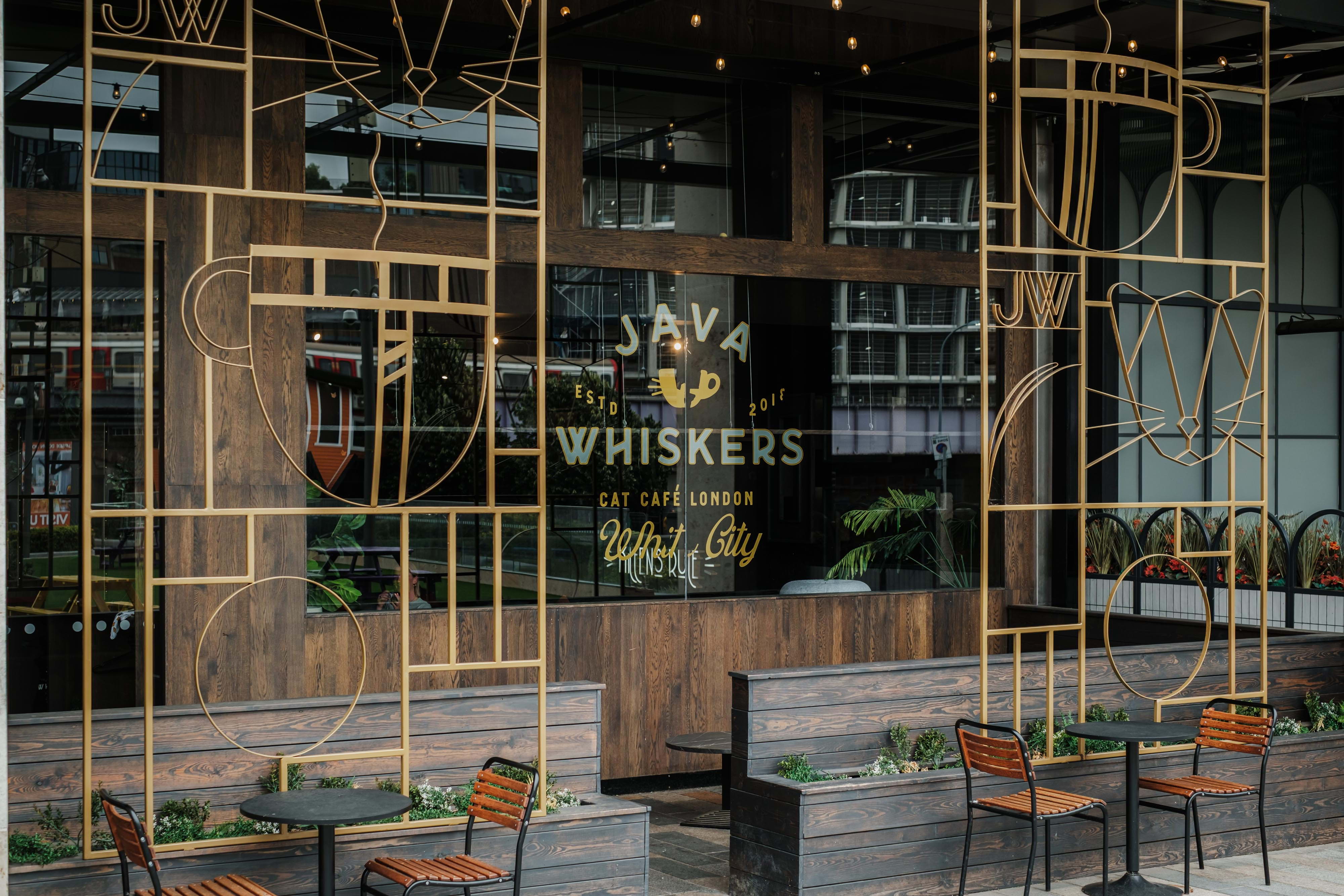 Java Whiskers Cat Café White City Ariel Way London