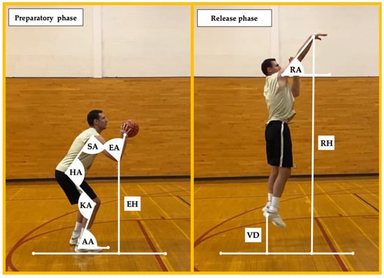 What Does Vps Mean in Basketball